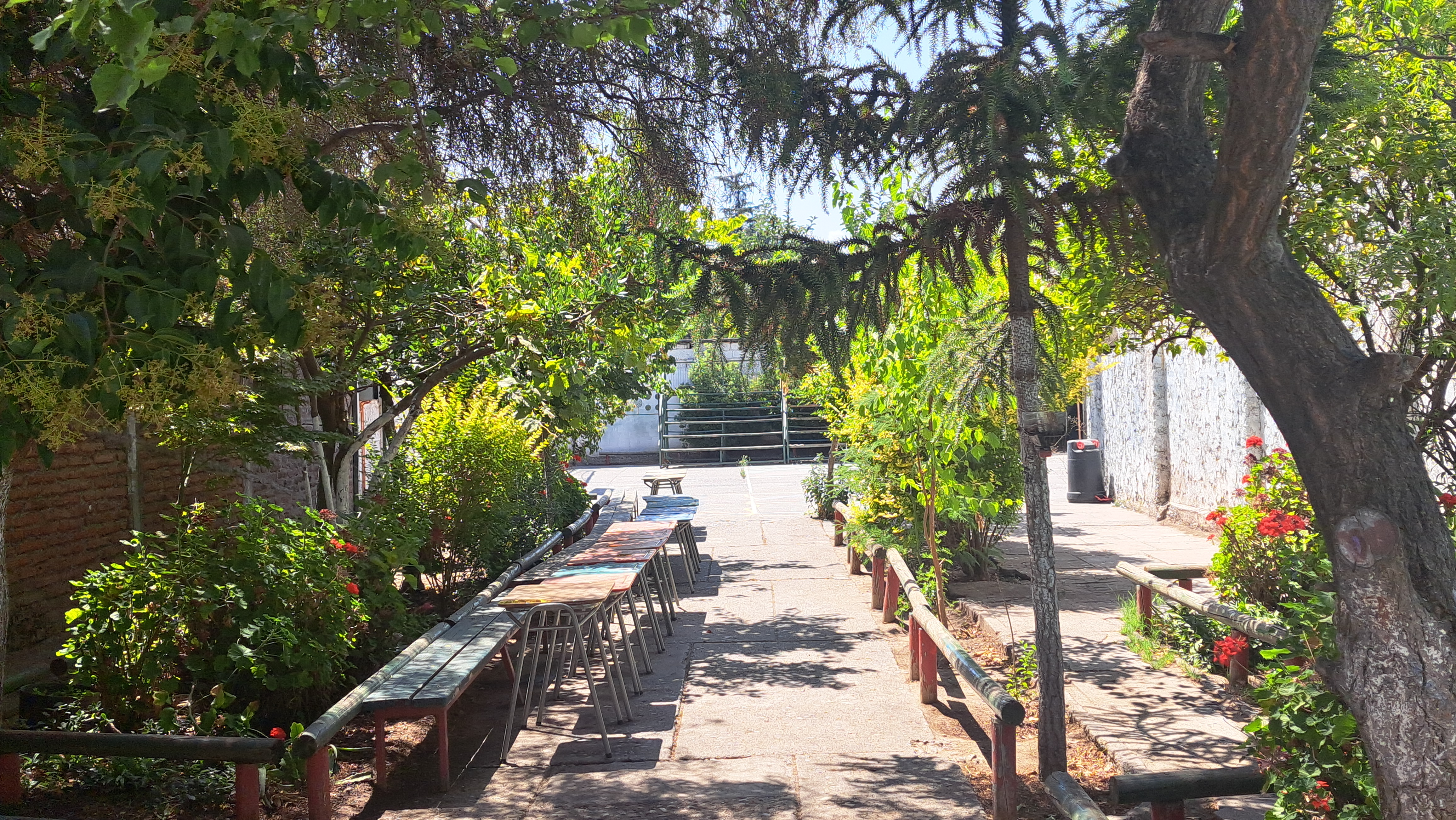 Patio Verde